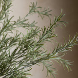 Faux Rosemary