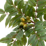 Faux White Olive Tree - Large