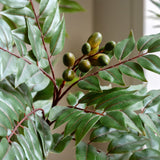 Faux White Olive Tree