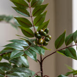 Faux White Olive Tree - Large