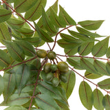 Faux White Olive Tree - Small
