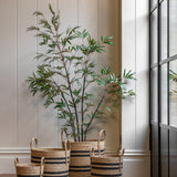 Faux Bamboo Plant - Large