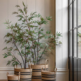 Faux Bamboo Plant
