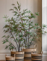 Faux Bamboo Plant (2 Sizes Available)
