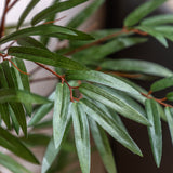 Faux Bamboo Plant - Small