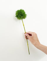 Faux Green Dianthus