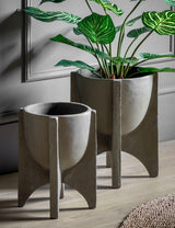 Kjerag Planters