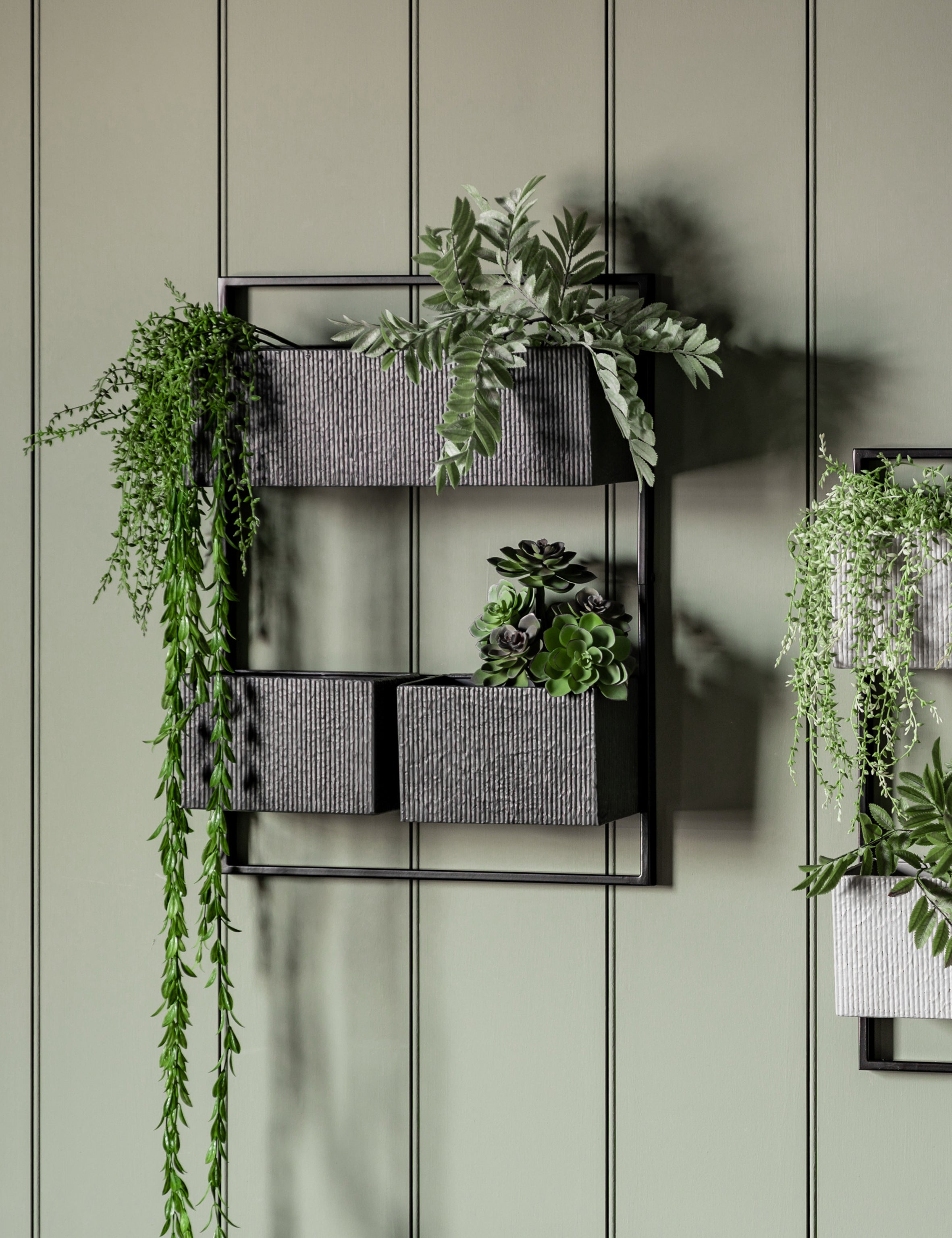 black wall plant hanger Linnaean Black Wall Planter – The Den & Now