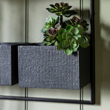 Linnaean Black Wall Planter