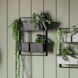 Linnaean Black Wall Planter