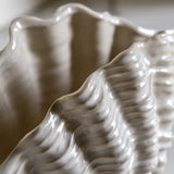Shell Vase - Large