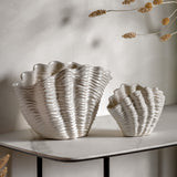 Shell Vases
