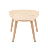 Storoya Coffee Table