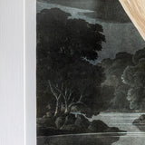 Vintage Pelican Framed Print