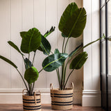 Water Hyacinth Black Striped Baskets (Set of Four)