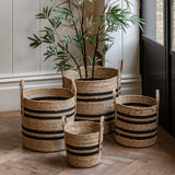 Water Hyacinth Black Striped Baskets (Set of Four)