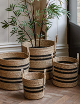 Water Hyacinth Black Striped Baskets (Set of Four)