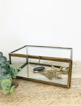 Antique Brass & Glass Jewellery Box