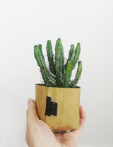Creased Paper Planter - Small