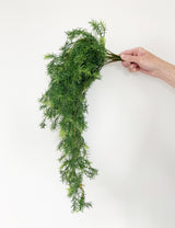 Faux Hanging Asparagus Bush