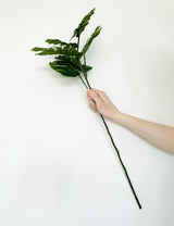 Faux Monstera 'Cheese Plant' Five Leaf Spray