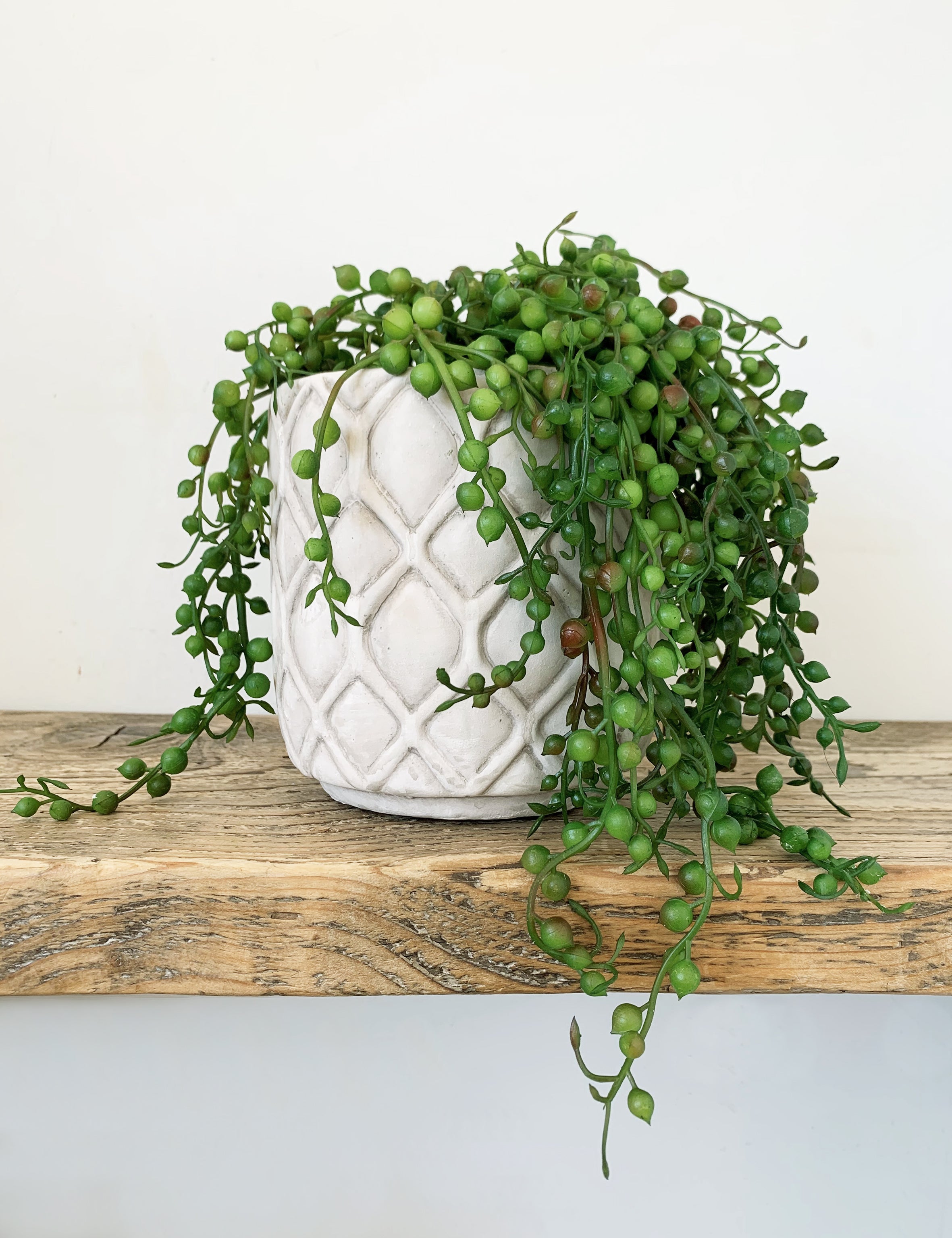 faux string of pearls plant in pot Faux String of Pearls Potted Plant – The Den & Now