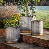 Galvanised Metal Planters With Gold Trim (Set of Three)