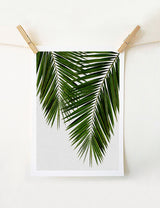 Palm Leaf Retro Art Print