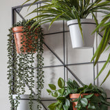 Terracotta & White Square Vertical Garden Wall Planter
