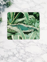 Tropical Summer Pool Artist Placemat