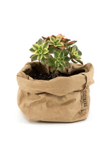 Uashmama Brown Paper Bag - Small