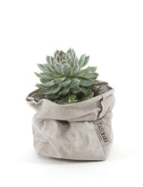 Uashmama Grey Paper Bag - Small