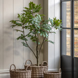 Faux White Olive Tree - Large