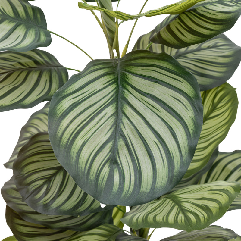 Faux Calathea Plant - Large