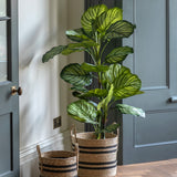 Faux Calathea Plant - Large
