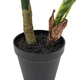 Faux Calathea Plant - Small