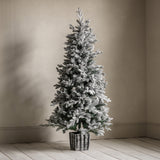 Frosted Christmas Tree