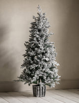 Frosted Christmas Tree