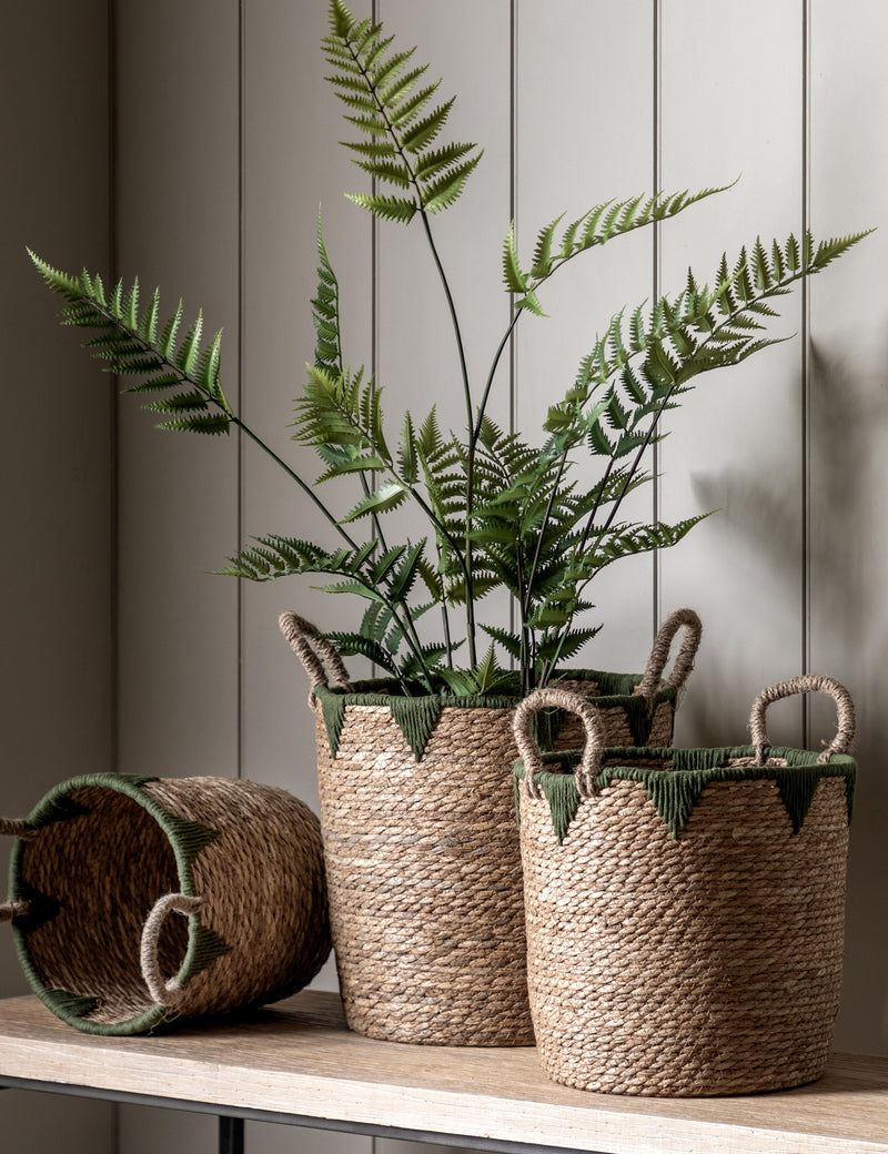 Water Hyacinth Baskets (Set of Three)