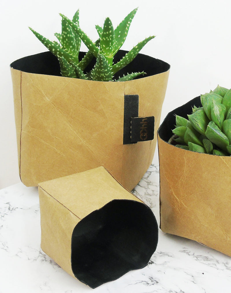 Creased Paper Planters