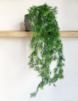 Faux Hanging Asparagus Bush