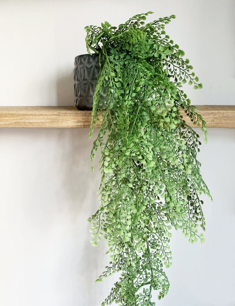 faux hanging plants uk Faux Hanging Maidenhair Fern Bush – The Den & Now