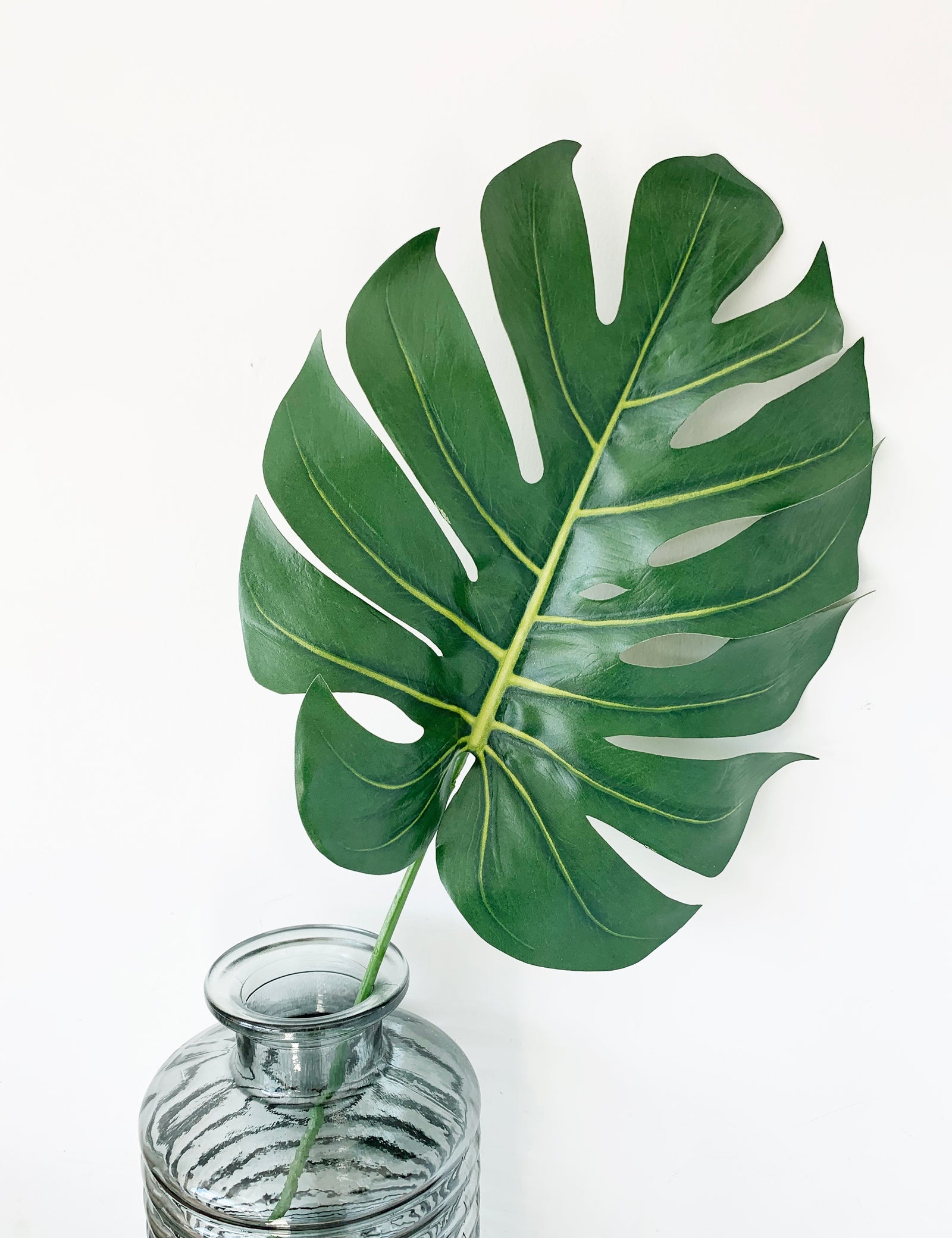 Faux Monstera 'Cheese Plant' Leaf – The Den & Now