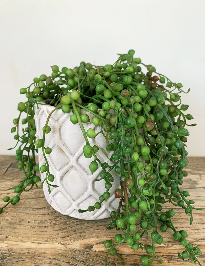 faux string of pearls succulent Faux String of Pearls Potted Plant – The Den & Now