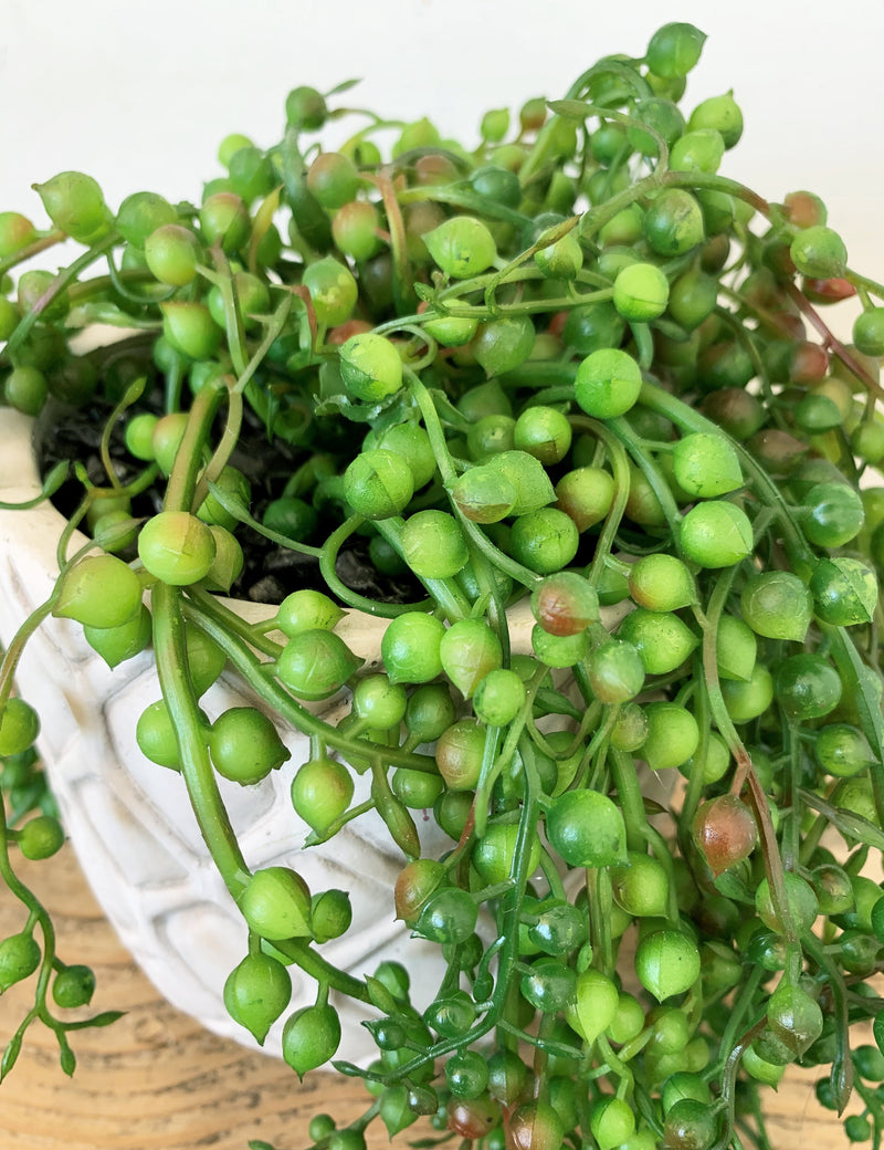 Faux String of Pearls Potted Plant
