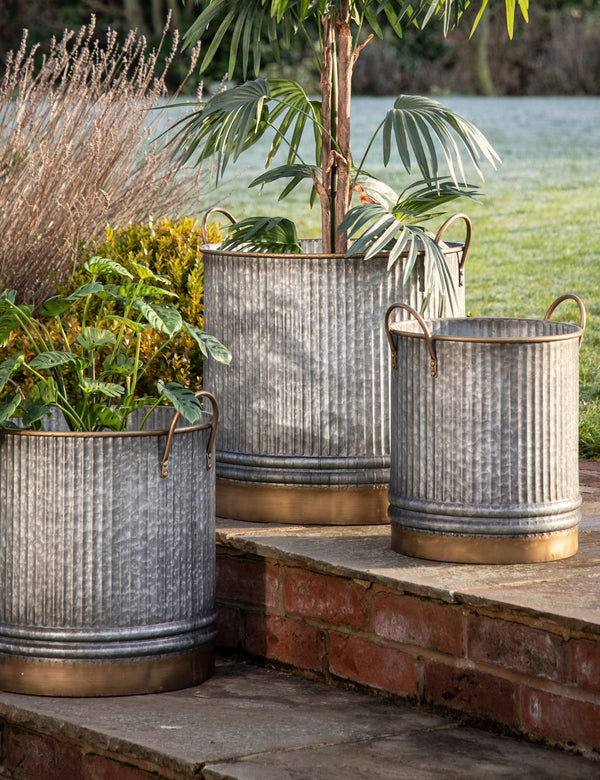 Galvanised Metal Planters With Gold Trim (Set of Three)